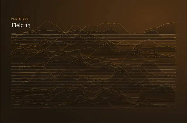 PLATE-013 — Демография